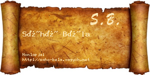 Sáhó Béla névjegykártya